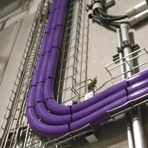 purple hose